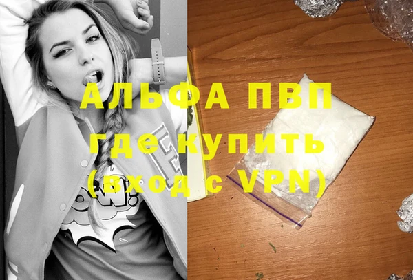 мет Алексин
